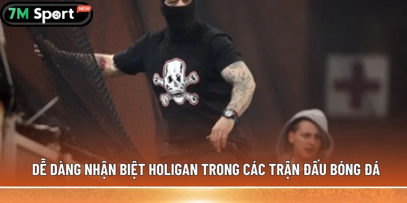 Holigan trong bóng đá được hiểu như thế nào cho đúng? 5 Dễ dàng nhận biệt holigan trong các trận đấu bóng đá